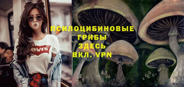 MESCALINE Арсеньев