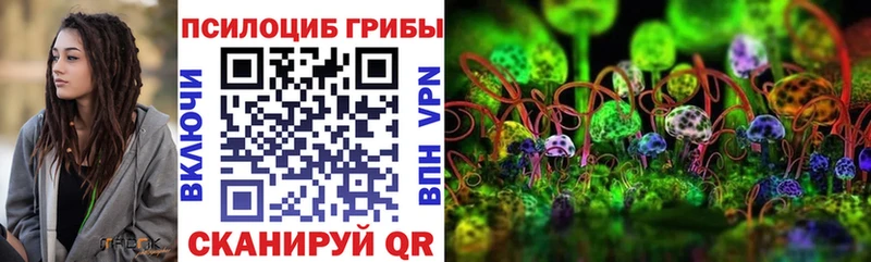 гидра вход  Сердобск  Псилоцибиновые грибы прущие грибы 